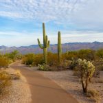 Is Kratom Legal in Arizona?